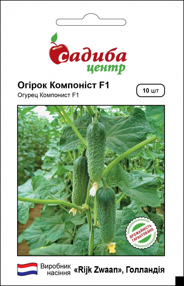 Огірок Компоніст F1, 10 шт, Rijk Zwaan (Голландія)