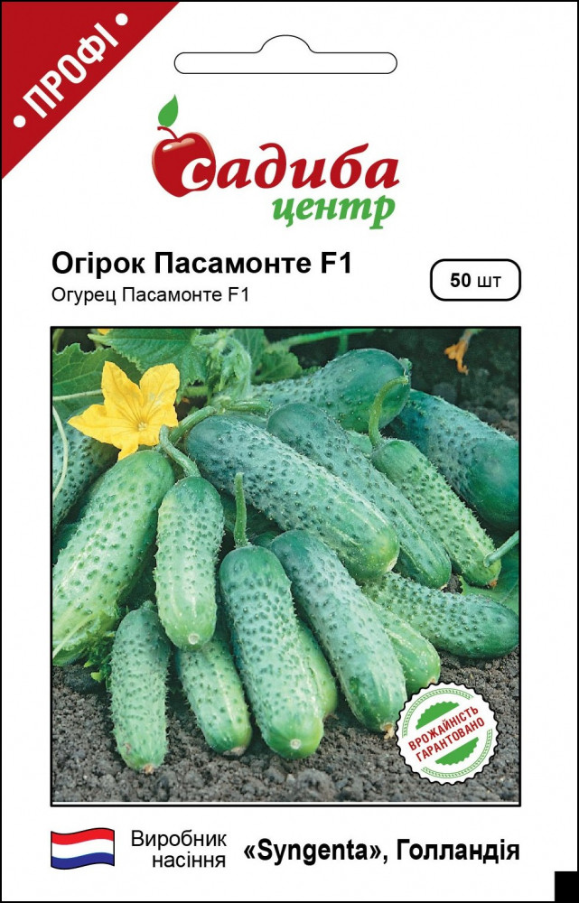 Огірок Пасамонте F1, 50 шт, Syngenta (Голландія)