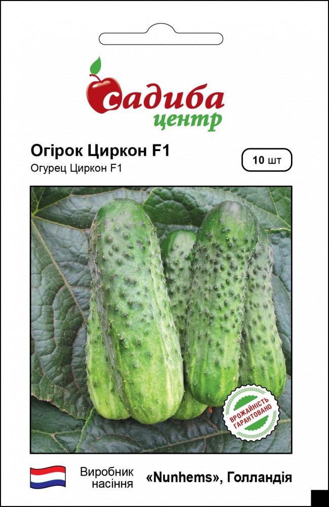 Огірок Циркон F1, 10 шт, Nunhems Zaden (Голландія)