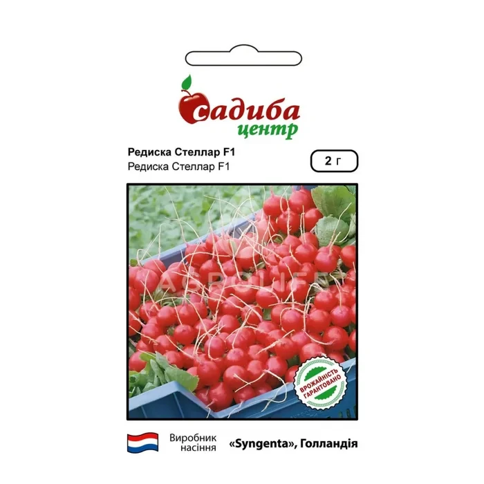 СТЕЛЛАР F1, 2г. Syngenta (Голландія)