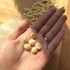 Шоколад білий 32% Barry Callebaut Velvet 1 кг, Бельгія, фото 4