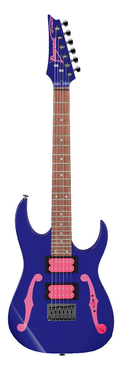 Електрогітара IBANEZ PGMM11 JB, фото 1