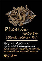 Чорна Левинка "Phoenix Worm" тм Буся. Корм для їжачок, птахів, гризунів, рептилій. 25г