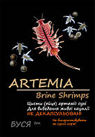 Артемія недекапсульована Brine Shrimps (цисти) тм Буся — корм для акваріумних риб — пакет 25 г