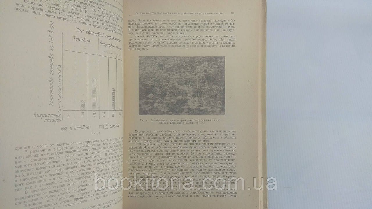 Искусственные леса степной зоны Украины (б/у). - фото 8 - id-p1712550581