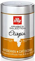 Кофе в зернах illy Ethiopia Эфиопия 250г ж/б Италия (Илли Etiopia)