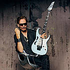 Електрогітара IBANEZ JEMJRSP PK, фото 6