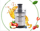 Соковитискач ROTEL Thielmann Juice Master Professional 42.6, фото 5