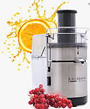 Соковитискач ROTEL Thielmann Juice Master Professional 42.6, фото 3