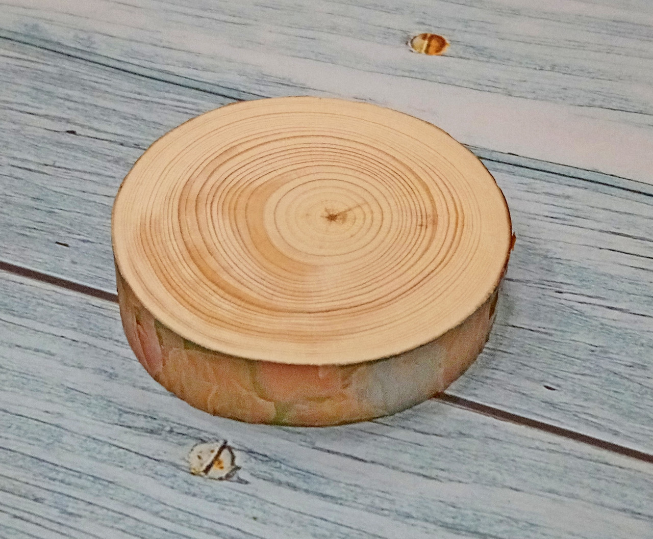 Шліфований зріз дерева з корою (6-7 см) сосна