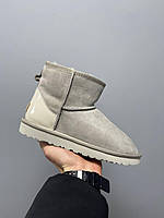 Уги жіночі Ugg Light Grey Metallic Suede сірі натуральна замша на овчині лакова п'ята