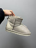 Уги жіночі Ugg Light Grey Metallic Suede сірі натуральна замша на овчині лакова п'ята, фото 5