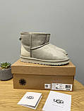 Уги жіночі Ugg Light Grey Metallic Suede сірі натуральна замша на овчині лакова п'ята, фото 10