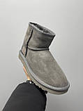 Уги жіночі Ugg Grey Metallic Suede сірі натуральна замша на овчині лакова п'ята короткі, фото 2