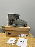 Уги жіночі Ugg Grey Metallic Suede сірі натуральна замша на овчині лакова п'ята короткі, фото 9