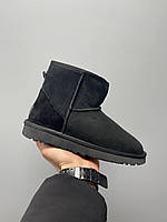 Угги женские Ugg Classic Black Suede черные натуральная замша на овчине короткие