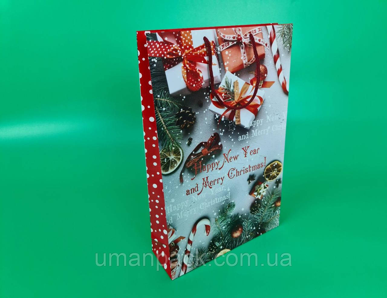 Паперовий Подарунковий Пакет Новорічний вертикальний 25/37/8 (12 шт.)