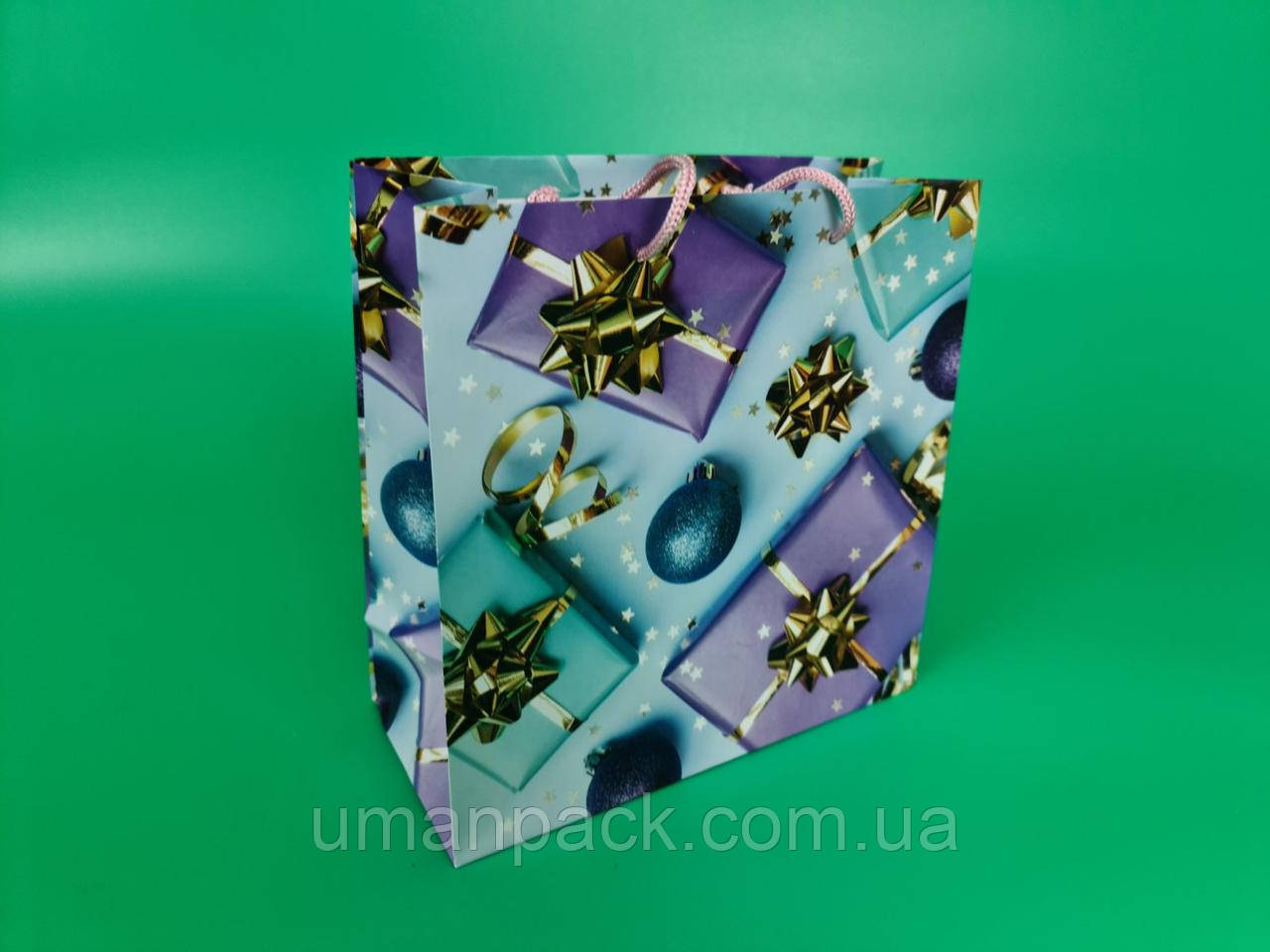 Паперовий Подарунковий Пакет Новорічний 23*24*10- 17 (12 шт.)