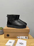 Уги жіночі Ugg Classic Black Leather чорні натуральна шкіра на овчині короткі, фото 7