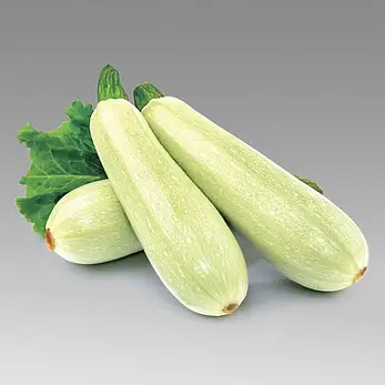 Кабачок Кавілі  F1  5шт (Проф.Нас), фото 2