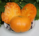 Насіння томату Бурштиновий Богатир 0,2 г високий, фото 2