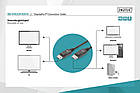 Digitus Кабель DisplayPort UHD 4K, M/M, 2 m, double shielding, фото 3