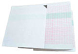 Папір для фетального монітора HEACO L8, фото 2
