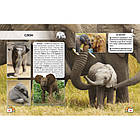 Енциклопедія Світ навколо нас. Малята тварин (укр) 20,5х26см 48стор арт.9499, фото 3