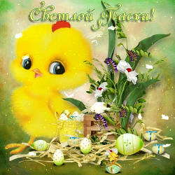 Вітаємо з святом пасхи!