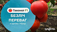 Семена томата Пеконет F1 (Syngenta), поштучно ранний (55-57 дней), полудетерминантный, красный с носиком