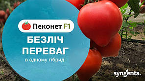 Насіння томата Пеконет F1 (Syngenta), поштучно — ранній (55-57 днів), напівдетермінантний, червоний з носиком