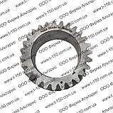 Шестірня колінвала МТЗ-1221/1523/2022/2122 Д-260, мала, 260-1005030, фото 3