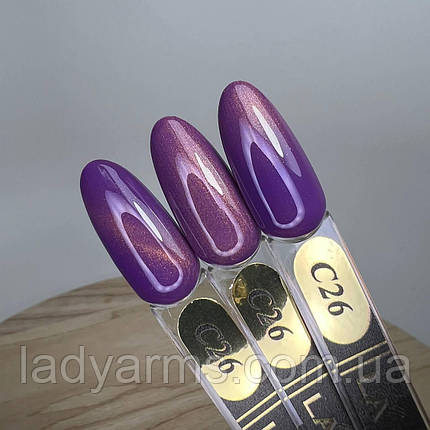 З26 кішка, фото 2