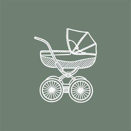 Візочки 2в1 (коляски трансформери)