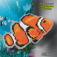 АТ М60. Дитячий магніт Риба-клоун (amphiprion percula)