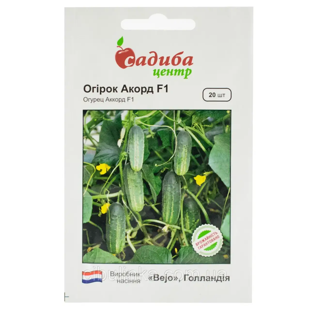 Насіння огірок Акорд F1, Садиба центр (20шт.), фото 1