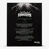 Набір Monster High Skullector Франкенштейн і Невідева Франкенштейна (HDW25), фото 10