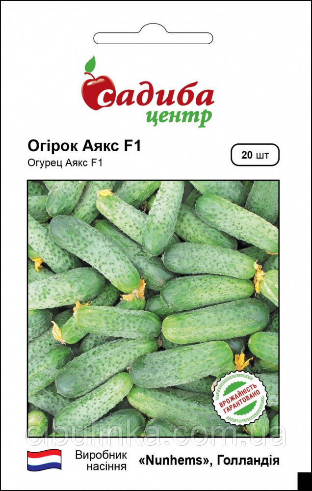 Огірок Аякс F1 Nunhems/Нідерланди 20 шт, фото 1