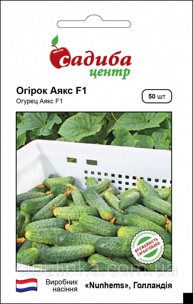 Насіння огірка Аякс F1 Nunhems/Нідерланди 50 шт, фото 1