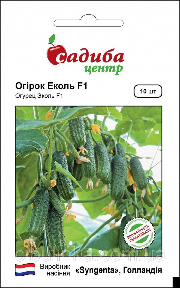 Насіння огірка Еколь F1 Syngenta/Нідерланди (10 шт.), фото 1