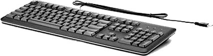Клавиатура HP USB Keyboard, black (QY776AA)