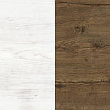 Стінка ТВ Монтреал Андерсон пайн, Дуб апріл 315х45х200 Mebel Service, фото 2