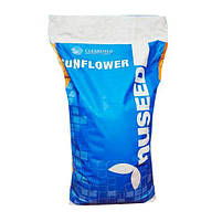 Насіння соняшнику Камаро 2, фото 2