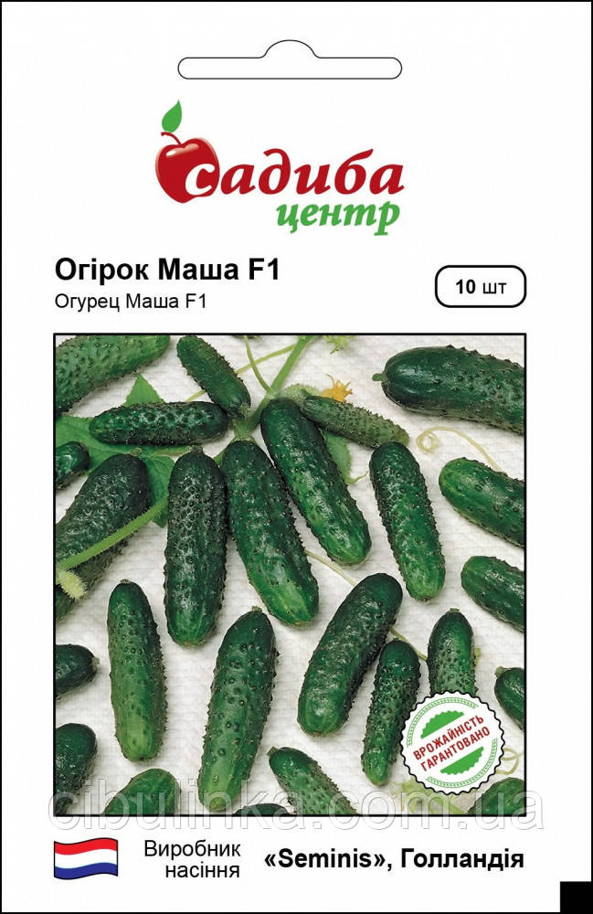 Насіння огірок Маша F1, Садиба центр (10 шт.), фото 1