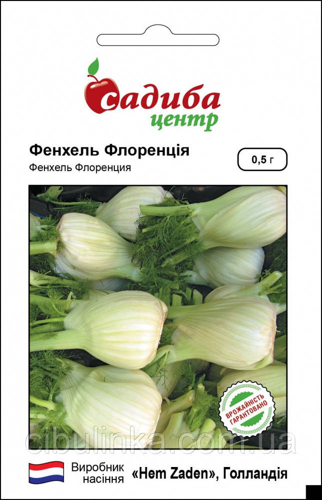 Фенхель Флоренція овочевий Садиба центр (Фасовка 0.5 г.), фото 1