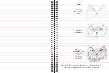 Скетчбук для малювання тварин покрокові уроки книга підручник альбом А5 м'ятний Sketchbook Око (рос), фото 2