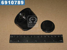 Ролик провідний CITROEN,PEUGEOT (Вир-во Ina)