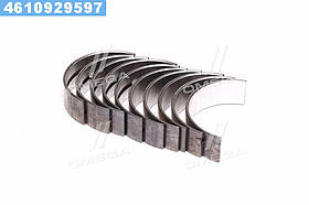 Вкладиші корінні (вир-во KS)