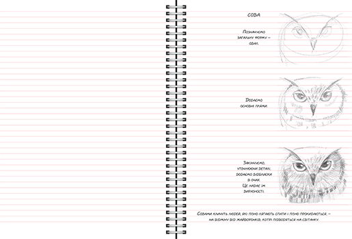 Скетчбук для малювання тварин поетапно А5 смарагдовий Sketchbook Око - фото 2 - id-p283793029