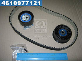 Ремкомплект ГРМ Opel Movano, Renault Master 77 01 472 329 (Вир-во SKF)